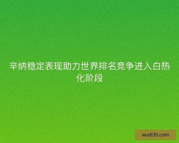 辛纳稳定表现助力世界排名竞争进入白热化阶段